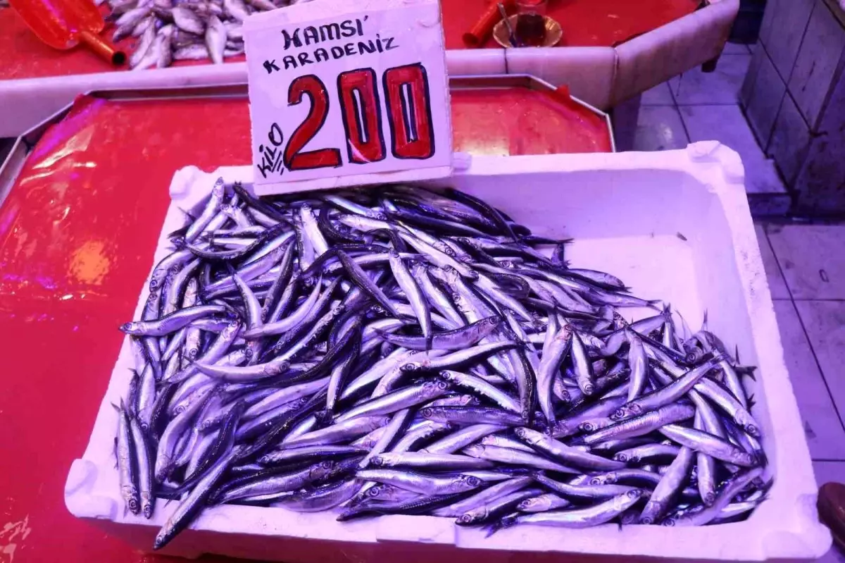 Sakarya'da balık fiyatları hızla yükseliyor. Hamsi ve istavrit arasındaki farkları