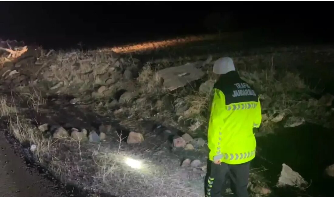 Şanlıurfa'da başından vurulan bir kadın, tüm müdahalelere rağmen hayatını kaybetti.
