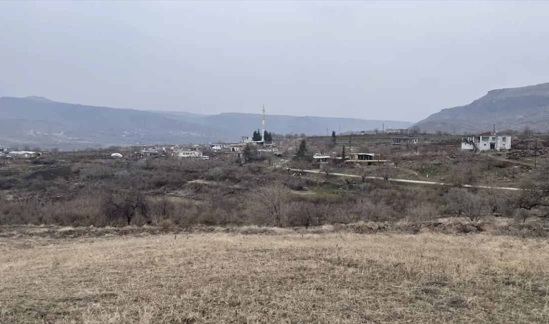 Şanlıurfa'da artan sahipsiz köpek saldırıları, halkın güvenliğini tehdit ediyor. Bu