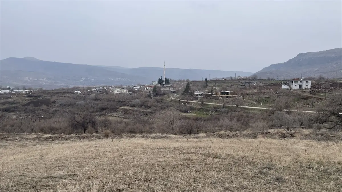 Şanlıurfa'da artan sahipsiz köpek saldırıları, halkın güvenliğini tehdit ediyor. Bu