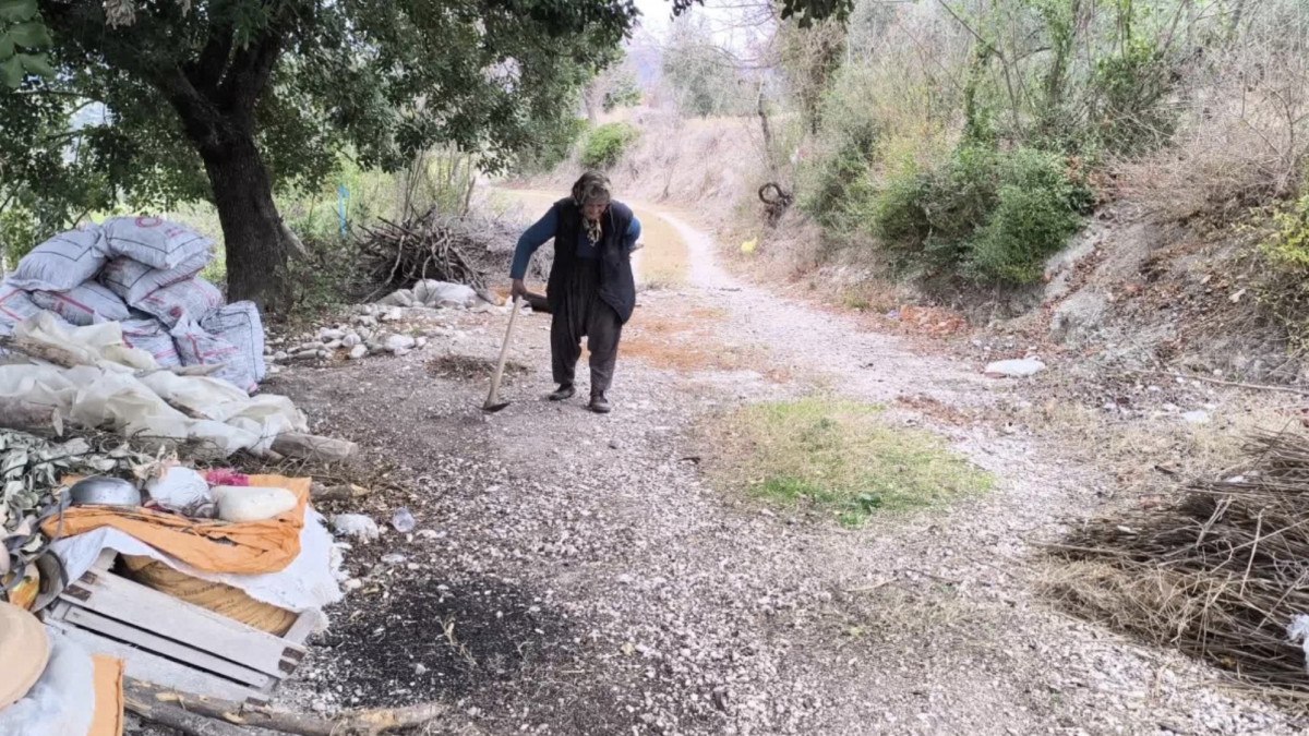 Şerife Yılmaz'ın Zorlu Yaşam Mücadelesi