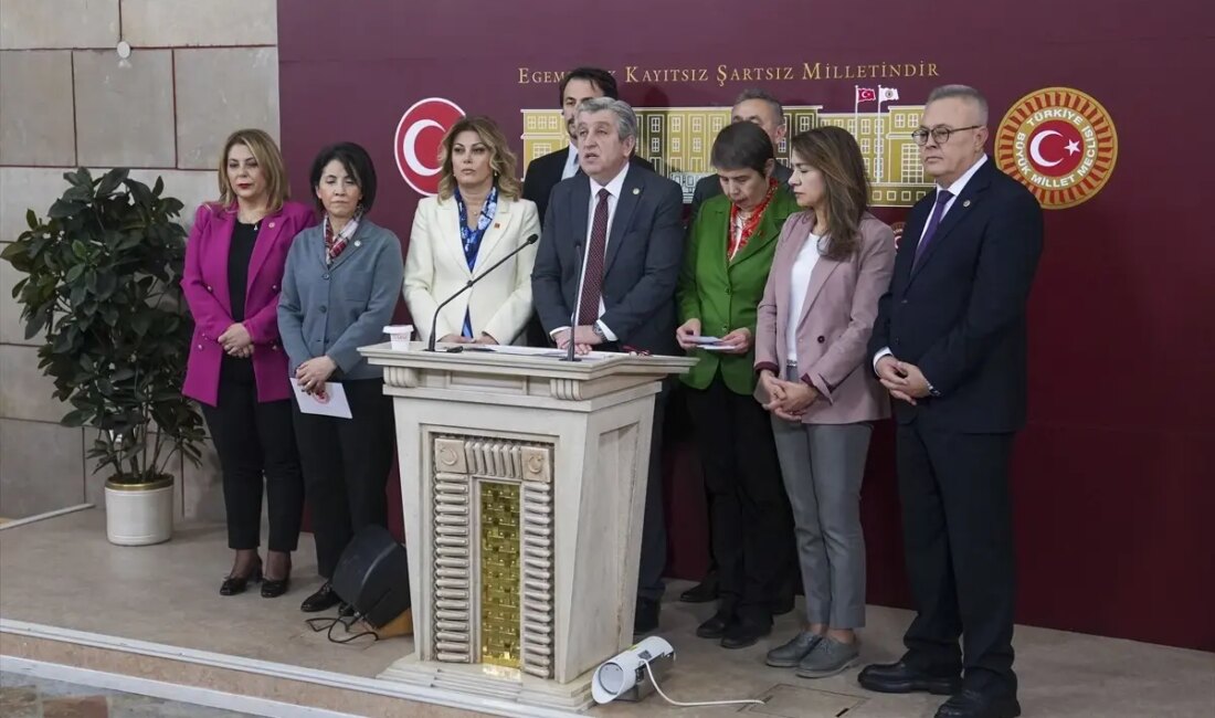 CHP'li Aylin Yaman, sıhhat sisteminin meselelerine dikkat çekerek, çalışanların yükünün
