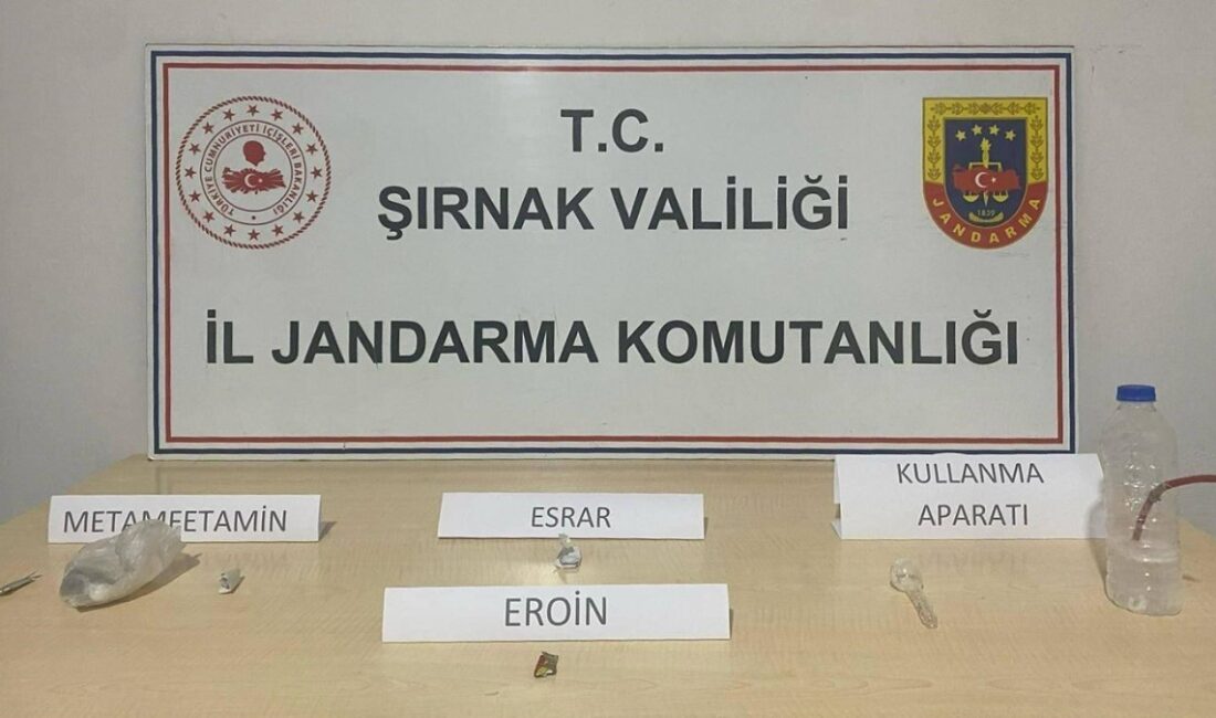 Şırnak'ta son 1 haftada gerçekleştirilen narkotik ve kaçakçılık operasyonlarında 23