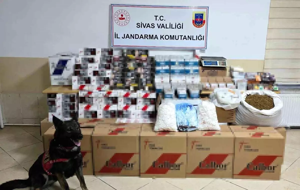Jandarma, Sivas'ta kaçakçılığa yönelik operasyonda çok sayıda silah ve tütün