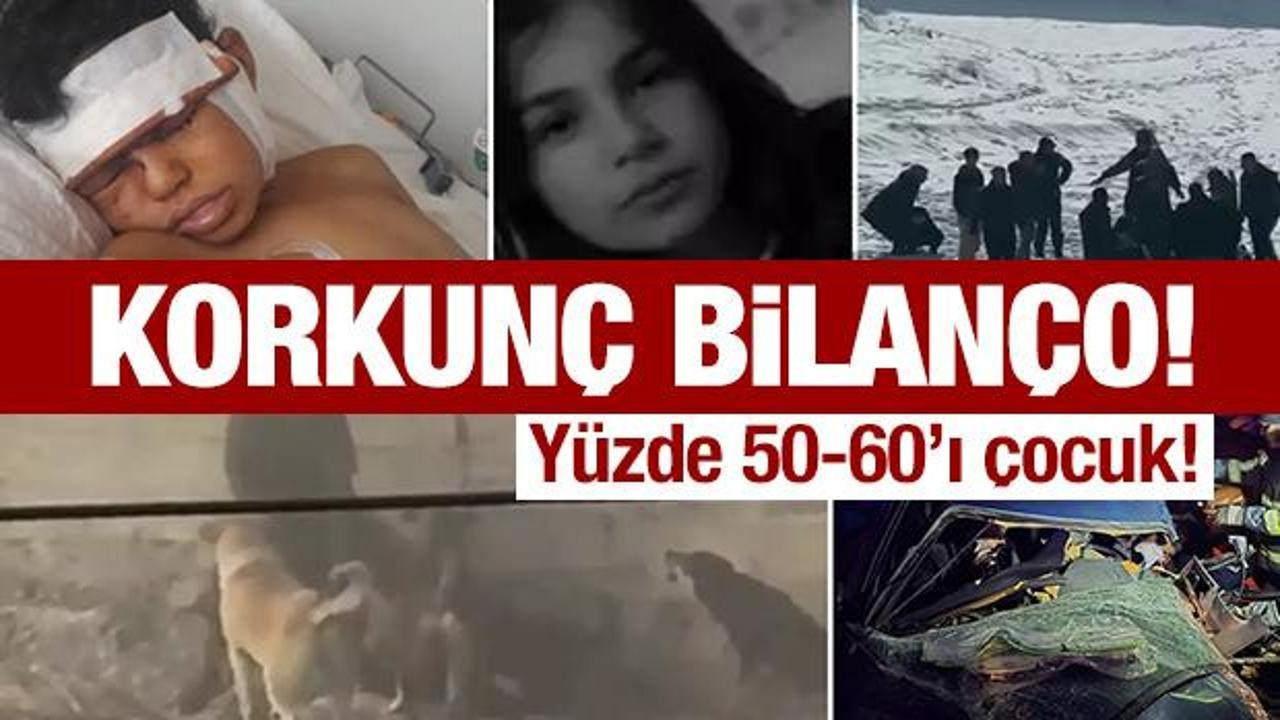 Öğrenci Sokak Köpeğinin Saldırısına Uğradı