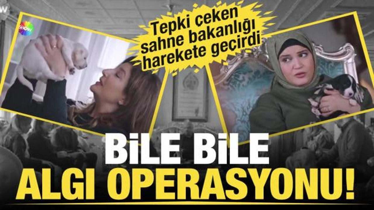 Sokak Köpeği Saldırısı: Öğrenci Hastaneye Kaldırıldı