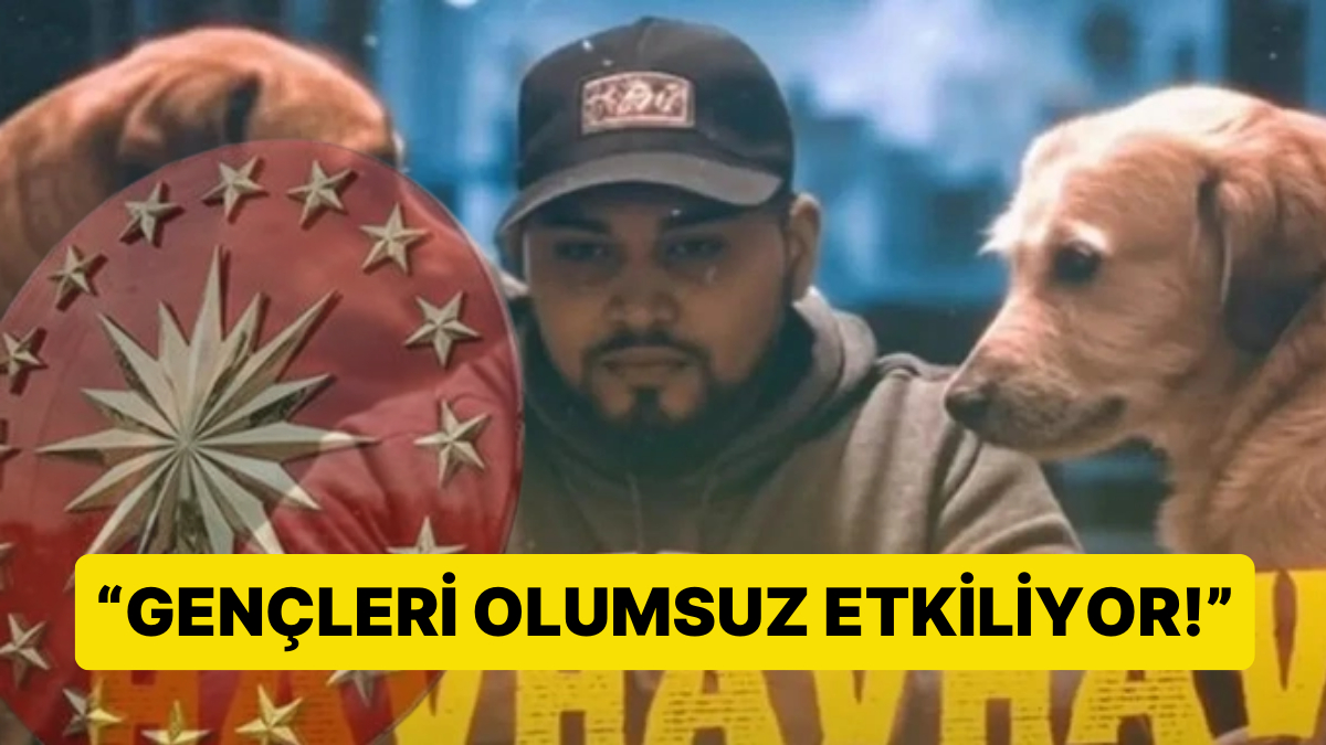 Son günlerin en çok konuşulan şarkısı 'HAVHAVHAV' hakkında derinlemesine tartışmalara