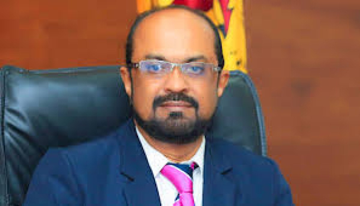 Sri Lanka'da Elektrik Kesintisi: Maymun Suçlu!
