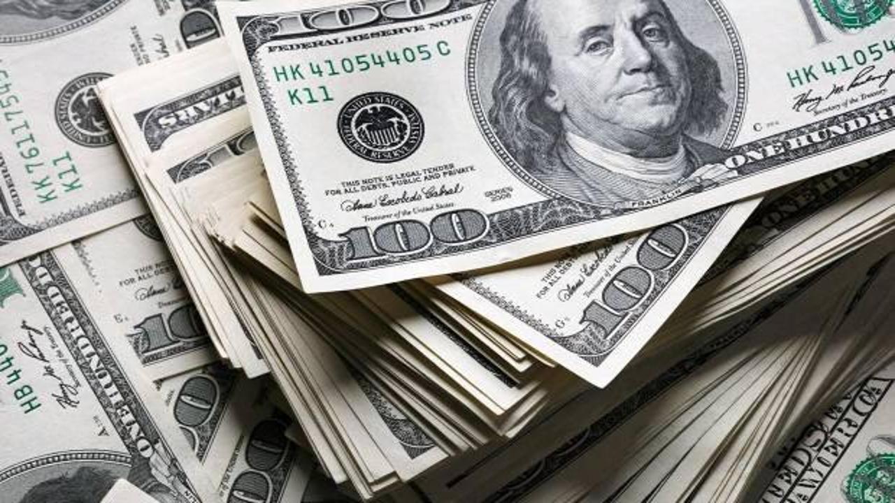 TCMB verileri ile döviz varlıkları ve yükümlülükleri üzerine kapsamlı bir