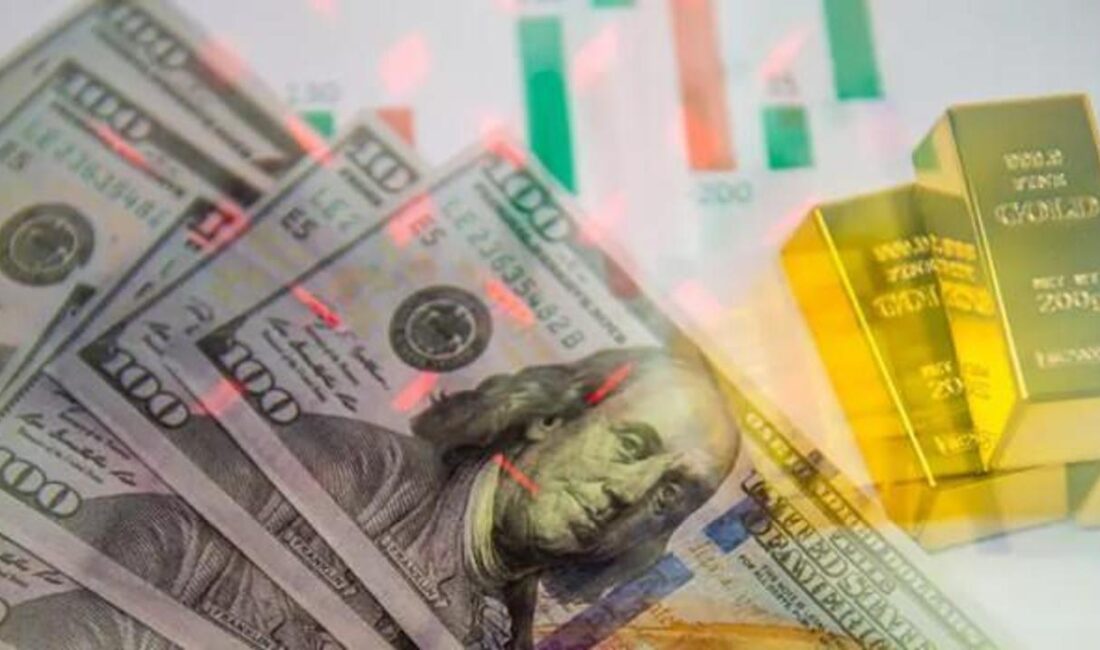 TCMB'nin haftalık rezerv istatistikleri raporu, döviz ve altın değişimlerini detaylı