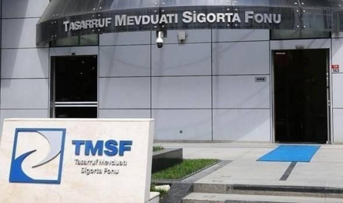 TMSF, ihale sürecinin ertelendiğini duyurdu. Bu gelişme, yatırımcılar ve ilgili