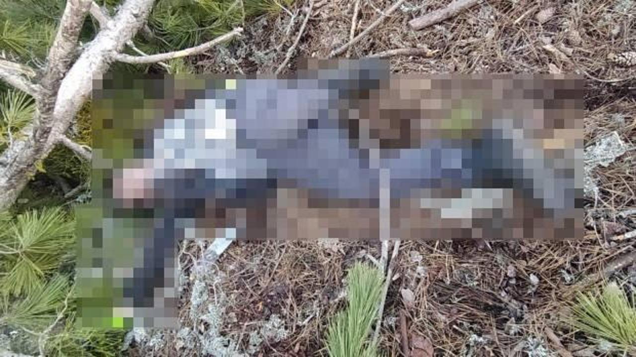 Tokat Köyü'nde meydana gelen ağaç kesimi kazasında Salih Kalmaz hayatını