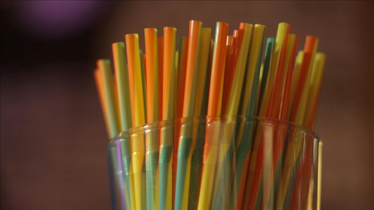 Trump'ın Plastik Pipet Kararnamesi: Türkiye'nin Plastik Sektörüne Etkileri