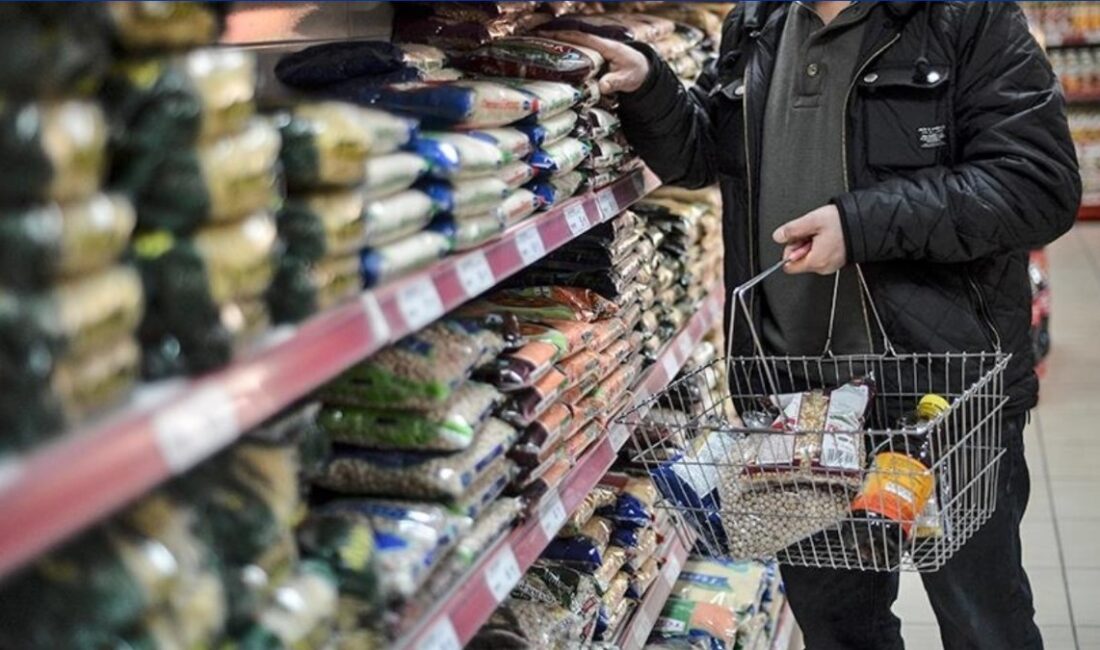 Tüketici Fiyat Endeksi (TÜFE) ve enflasyon sepeti güncellemeleri hakkında detaylı