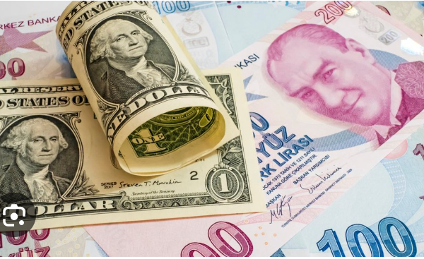 Türk Lirası reel döviz kuru endeksi, beşinci ayda yükseliş gösterdi.