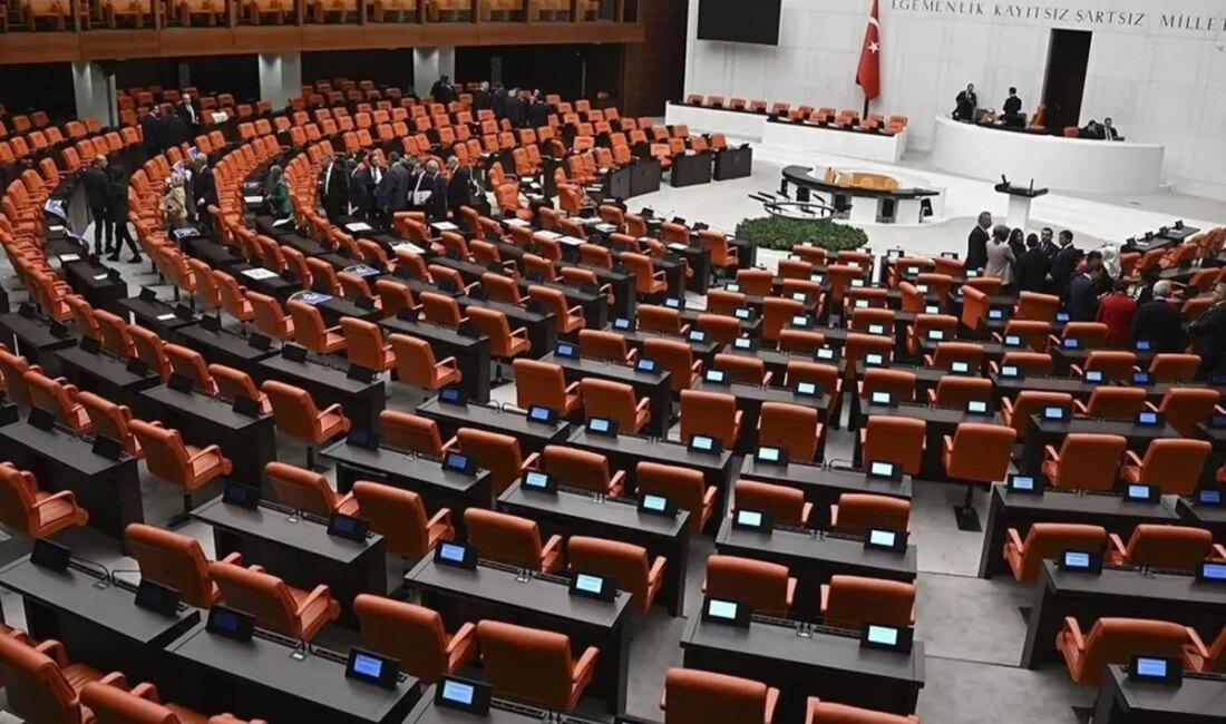 Türkiye Büyük Millet Meclisi'nde Kamu Denetçiliği Kurumu 2024 Yılı Yıllık