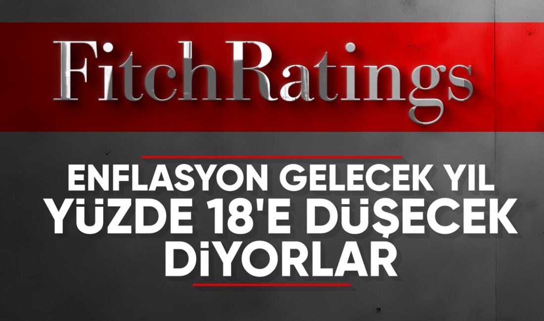 Türkiye ekonomisinde yaşanan olumlu gelişmeler ve enflasyon tahminleri üzerine kapsamlı
