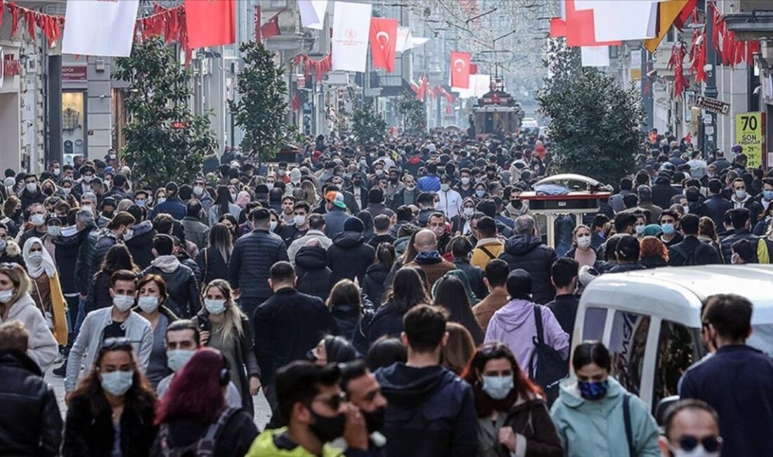 Türkiye'nin nüfus gelişimi ve istatistikleri üzerine kapsamlı bir inceleme. Tarihsel