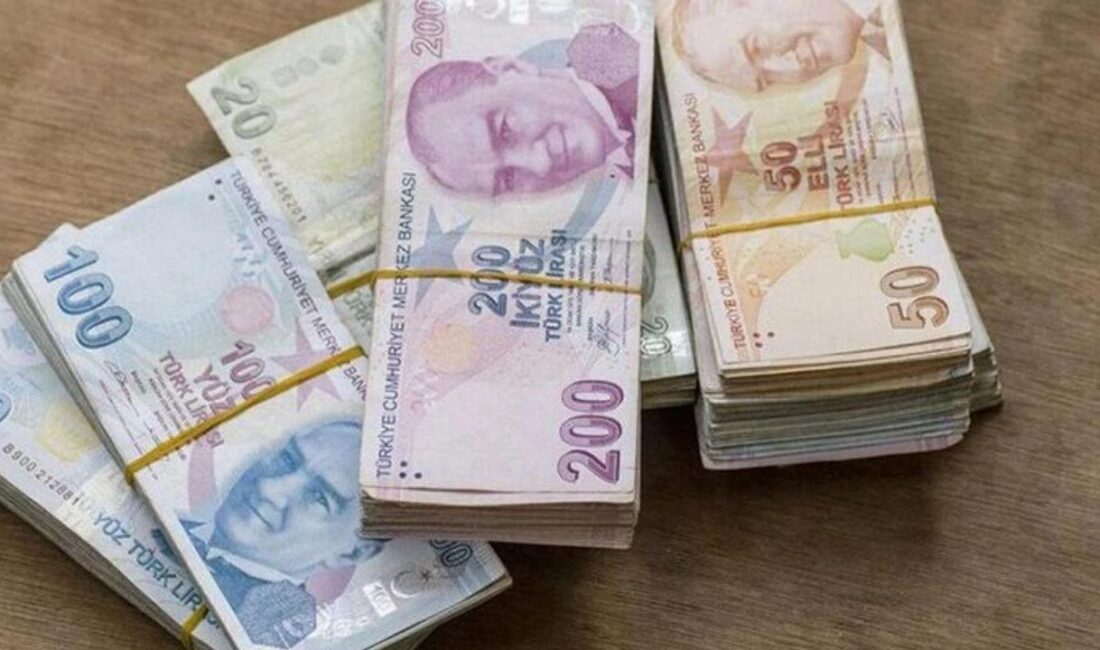 Türkiye'de maaş zamları ve enflasyon rakamları hakkında güncel bilgiler, ekonomik