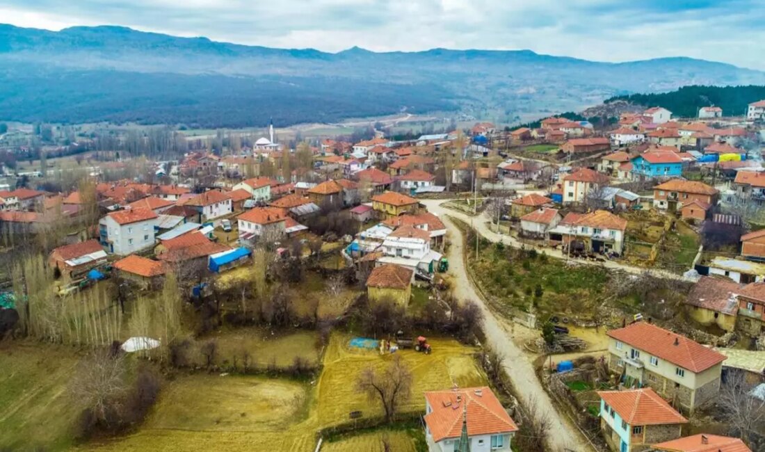 Türkiye'de nüfus yapısı ve kırsal yaşamı keşfedin. Köylerde yaşamın durumu,