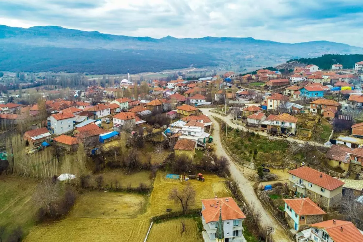 Türkiye'de nüfus yapısı ve kırsal yaşamı keşfedin. Köylerde yaşamın durumu,