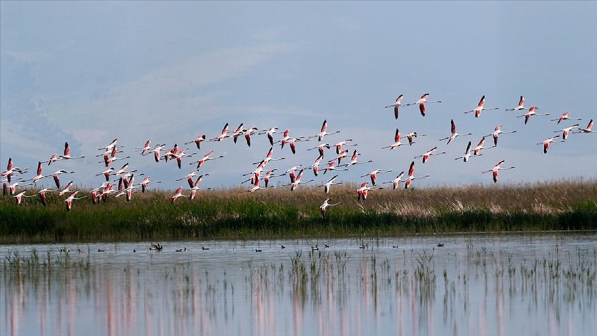 Ramsar Sözleşmesi'nin Türkiye İçin Önemi