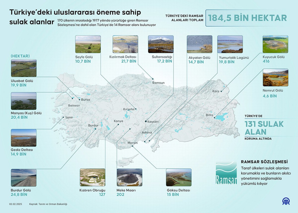 Yürütülen Koruma Çalışmaları