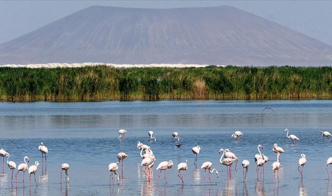 Türkiye'nin Ramsar Sözleşmesi kapsamındaki sulak alanları, ekosistem sağlığı ve biyolojik