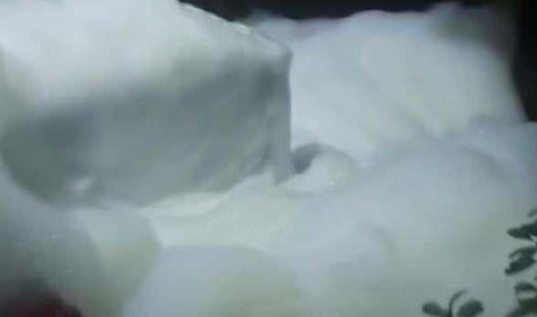 Yalova'da su kesintileri ve yeniden kullanım izinleri hakkında güncel bilgiler,