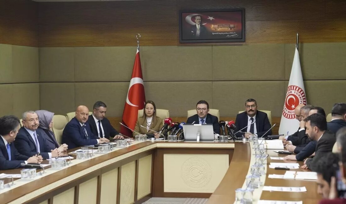 TBMM Yangın Araştırma Kurulu, 25 Şubat'ta AFAD'ı dinleyerek yangınla ilgili
