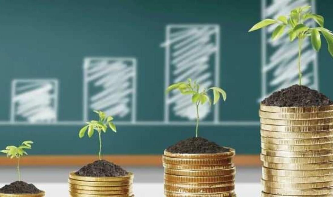 Yatırım fonlarına olan ilginin 2025'te rekor seviyelere ulaştığına dair tüm