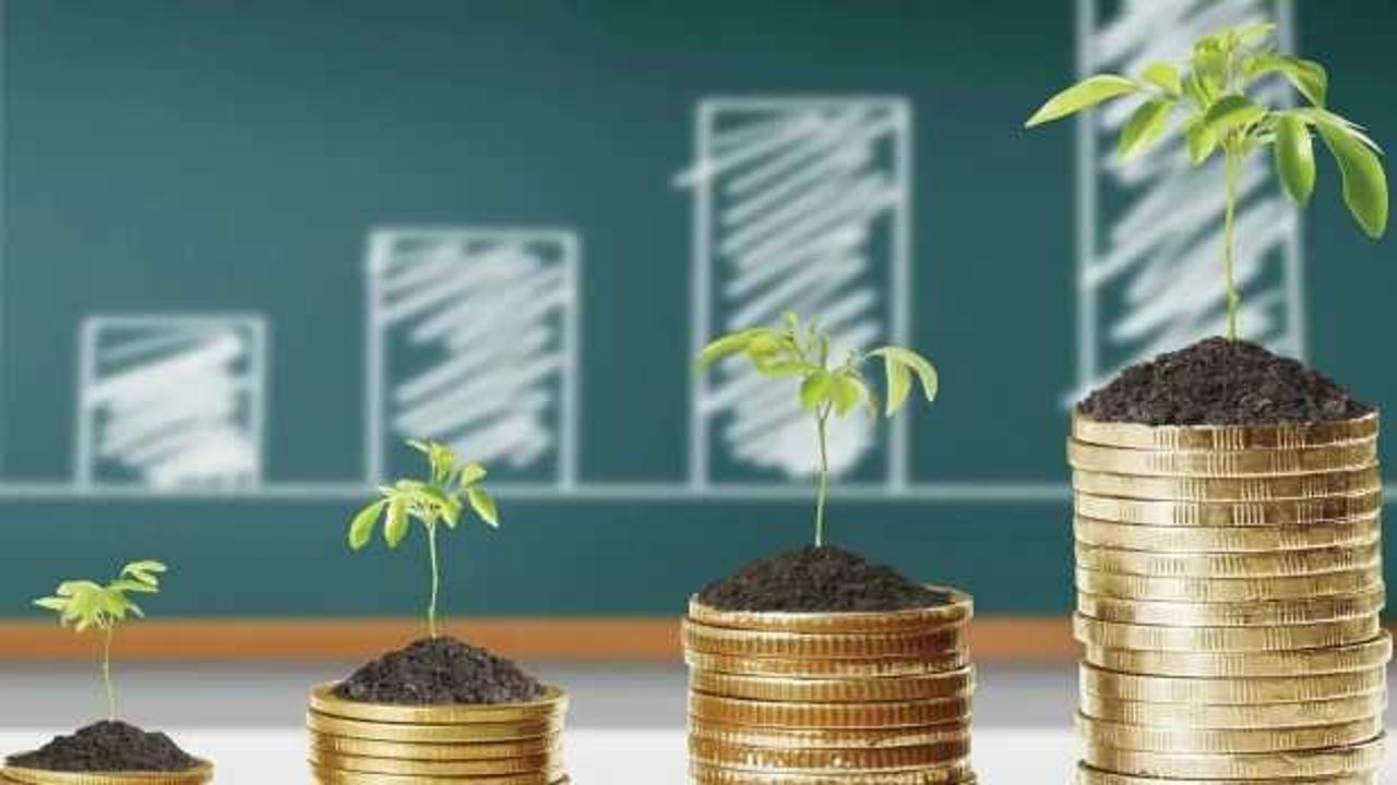Yatırım fonlarına olan ilginin 2025'te rekor seviyelere ulaştığına dair tüm