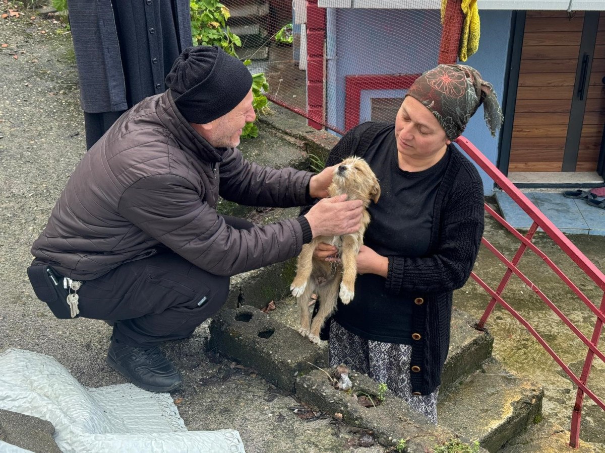 Zonguldak'ta Terk Edilen Köpeğe Komşular Sahip Çıktı