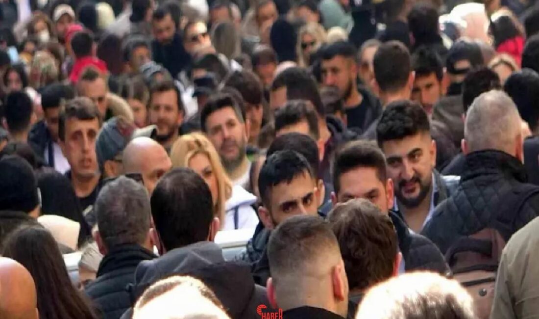 2024'te işsiz sayısı 3,1 milyon kişiye dönerken, işsizlik oranı %8,7'ye