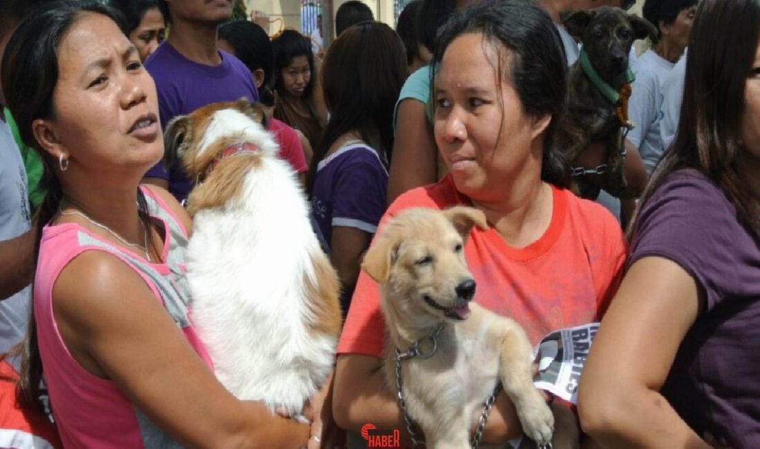 Filipinler Sağlık Bakanlığı, 2024 yılında kuduz nedeniyle 426 kişinin hayatını