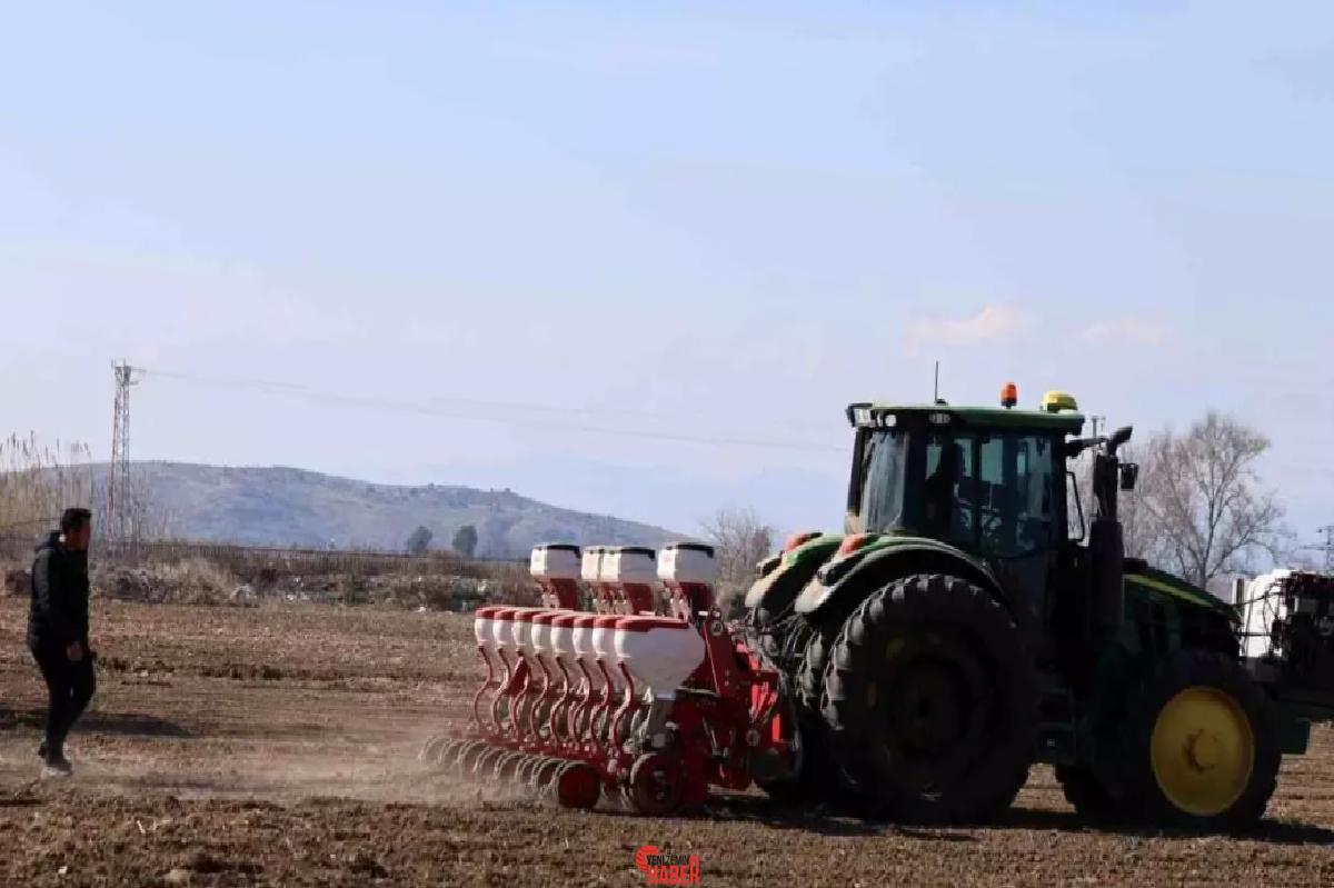 Kuraklık nedeniyle Adana'da çiftçiler, riski az olan mısıra yönelerek ekim