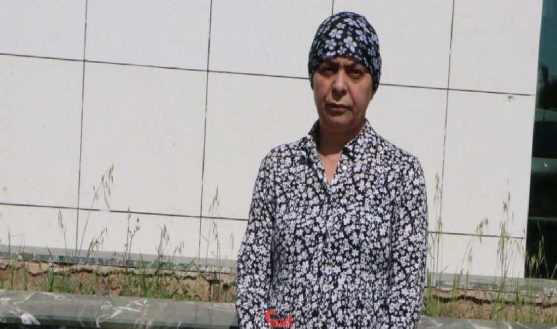 Adana'da içki içerken tartıştığı arkadaşları Alperen Kaya ile Eren Güngör'ü