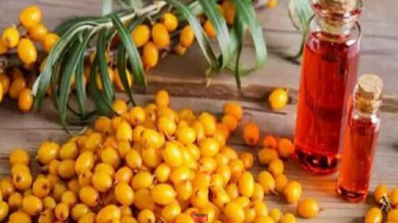 Doğal bir sıhhat destekçisi olan alıç sirkesi, sindirimden kalp sıhhatine