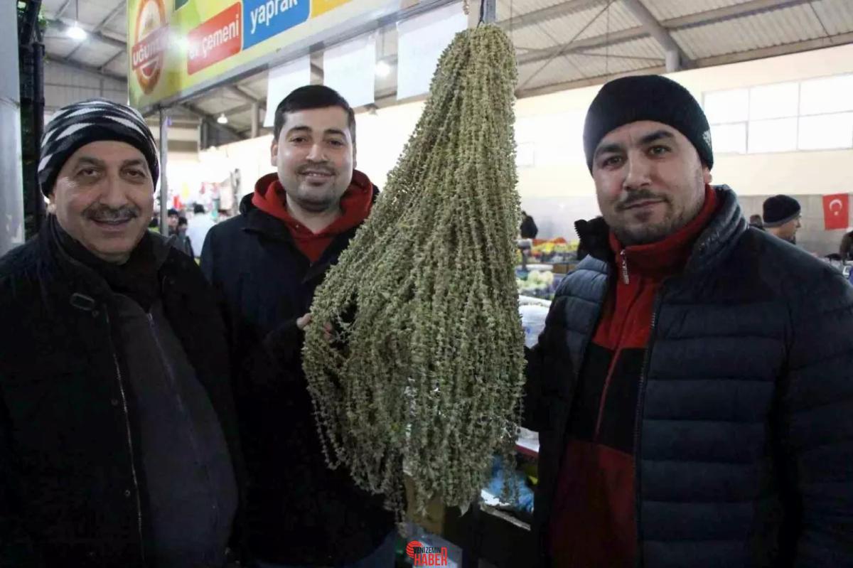 Amasya'nın çiçek bamyasının fiyatı, gram altını geçerek 3.500 TL'ye ulaştı.