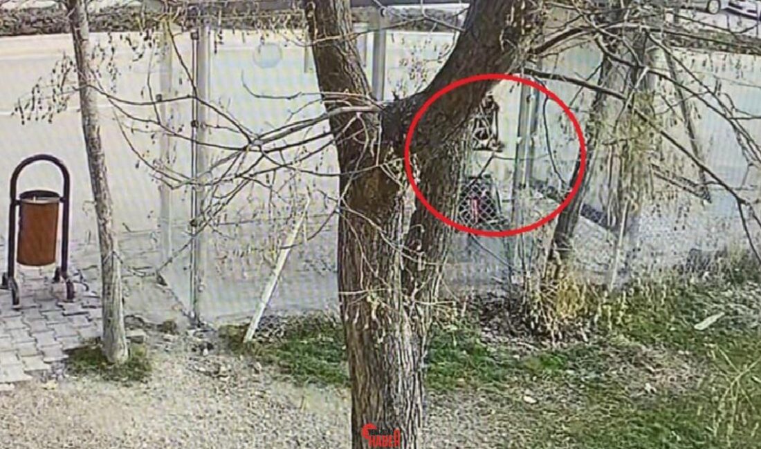 S.P. isimli şahıs, okul çıkışı durakta otobüs bekleyen lise öğrencisinin