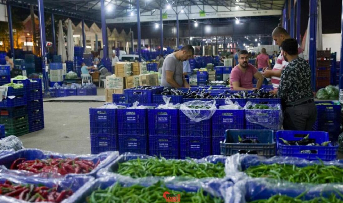 Antalya'daki hal hareketleri, zerzevat ve meyve fiyatları üzerinde değerli rol