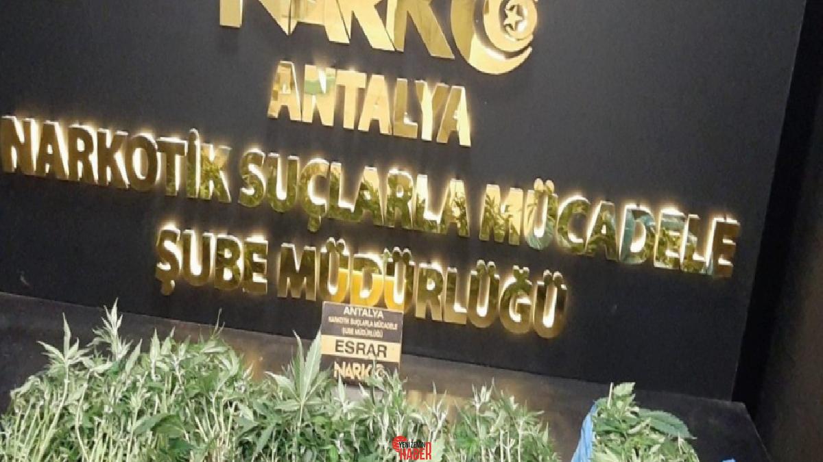 Kent genelinde narkotik takımları, uyuşturucu ticaretine yönelik operasyonlarını sürdürüdü. Son