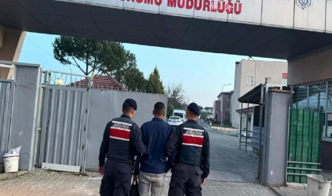 Aydın'da jandarma gruplarının üç günlük çalışması sonucu çeşitli kabahatlerden 53