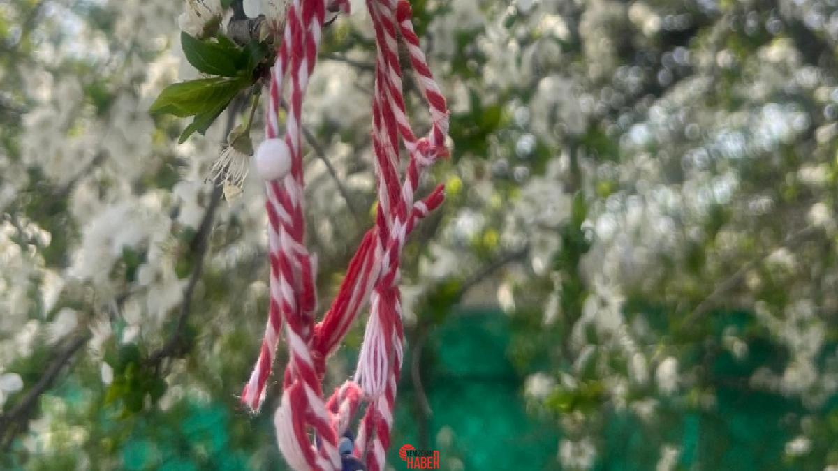 DHA Türkiye'yi, Avrupa Leylek Köyleri Birliği'nde temsil eden tek köy