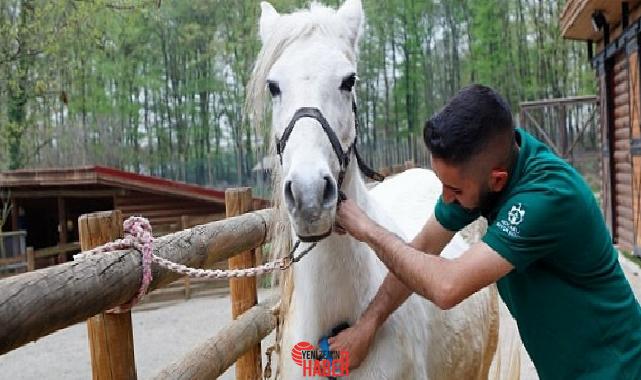  Büyükşehir Belediyesi’nin hizmet verdiği Avrupa’nın en büyük doğal hayat parkı
