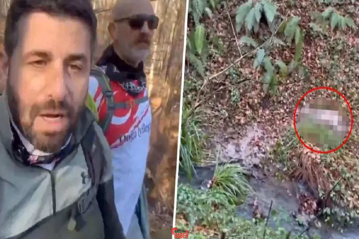 Belgrad Ormanı'nda yürüyüş yapan iki vatandaş, başıboş köpekler tarafından parçalanan