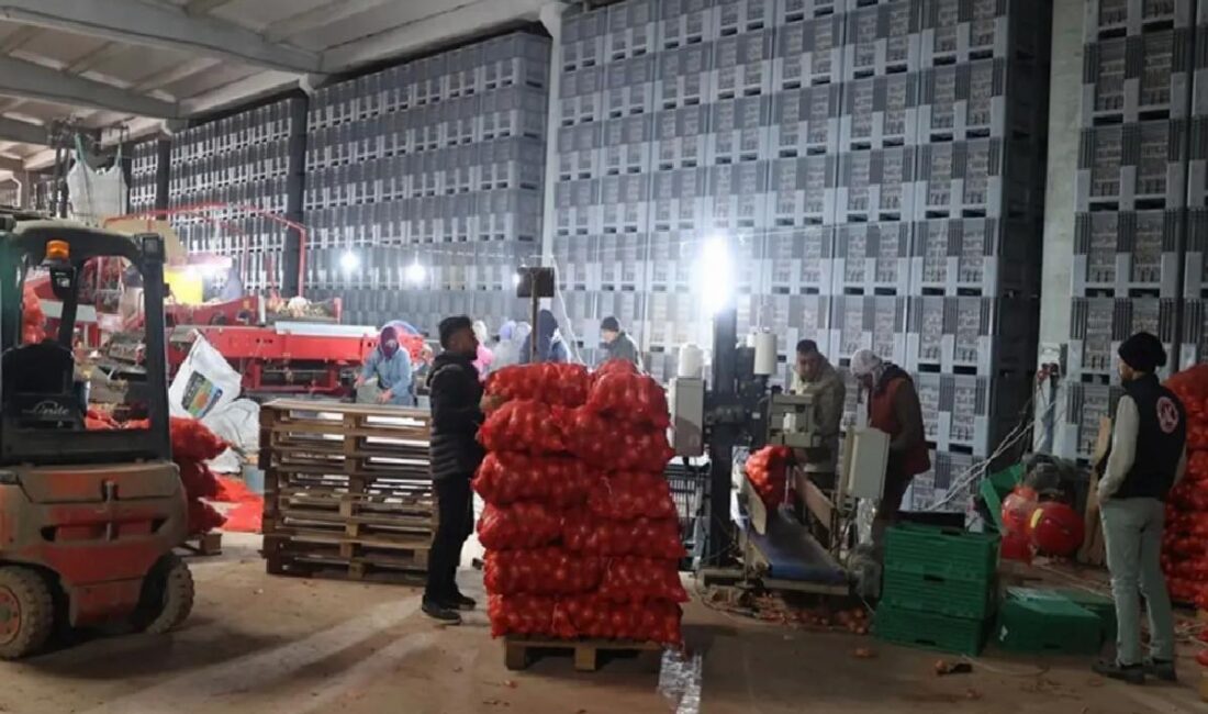Bir teşebbüsçü, devlet takviyesini ardına alarak kurduğu paketleme tesisinde 30