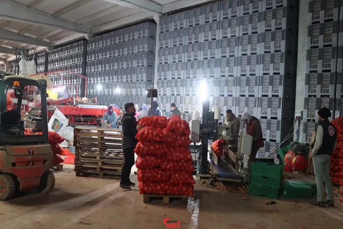 Bir teşebbüsçü, devlet takviyesini ardına alarak kurduğu paketleme tesisinde 30