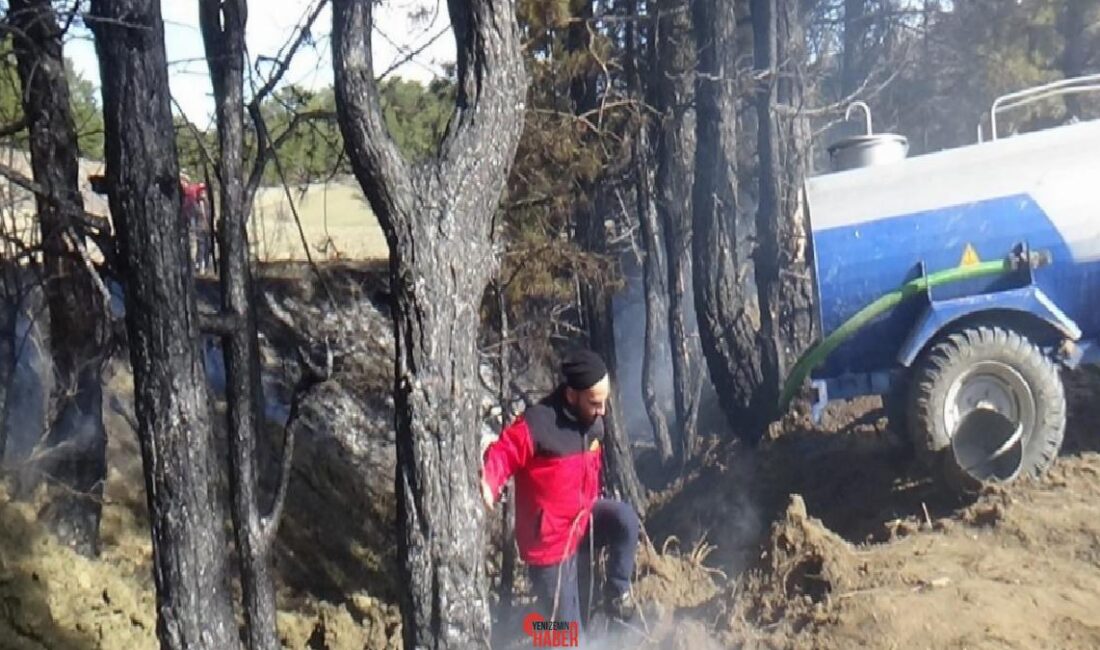 Mudurnu ilçesinde kuru otların alev almasıyla çıkan örtü yangını ağaçlara