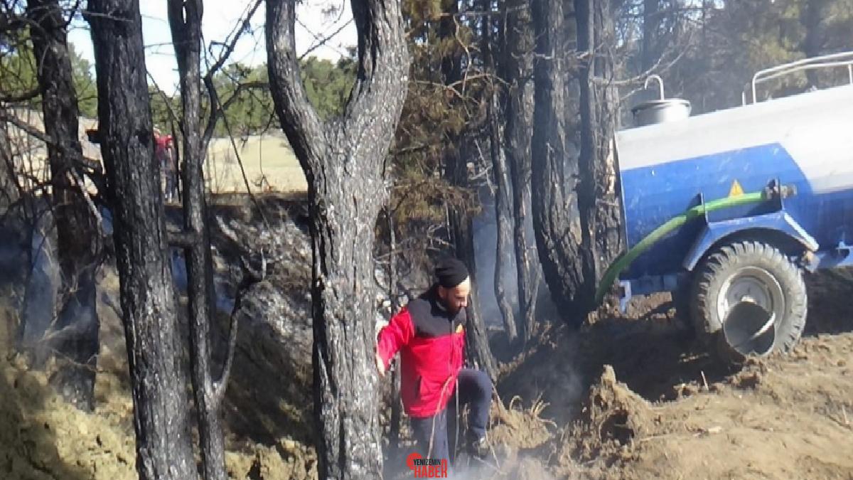Mudurnu ilçesinde kuru otların alev almasıyla çıkan örtü yangını ağaçlara